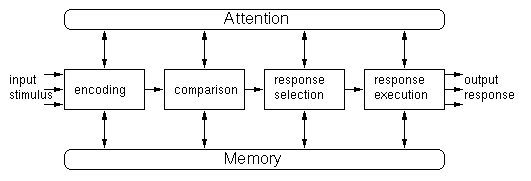 The extended human information processor
