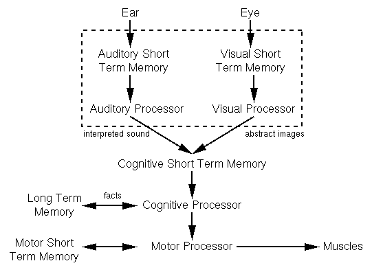 Model Human Processor