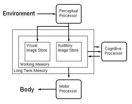 the multi-store model of human
	      memory