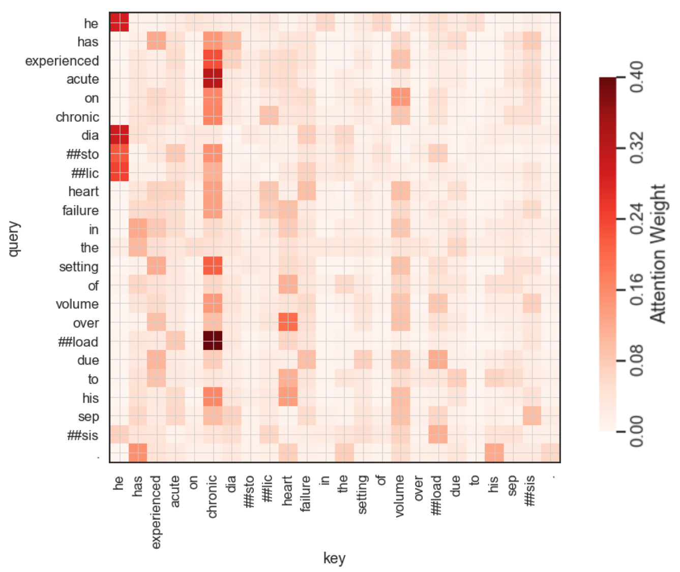 ClinicalBERT token-to-token attention heatmap for an illustrative clinical sentence; darker red cells indicate larger attention weights.